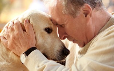 Surprising Benefits of Pet Ownership For Seniors